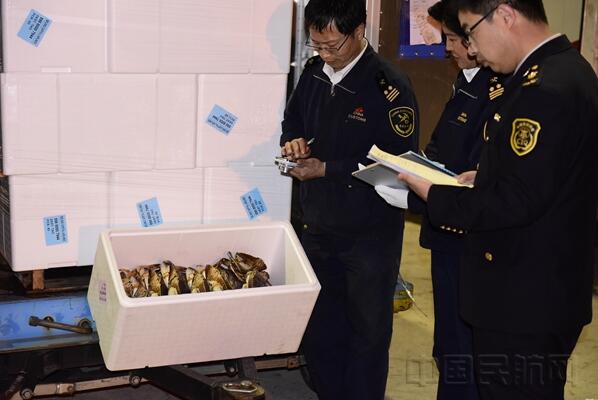 青岛机场开通绿色通道,保障鲜活易腐货通关,鲜活货空运 青岛机场开通绿色通道,保障鲜活易腐货通关,鲜活货空运