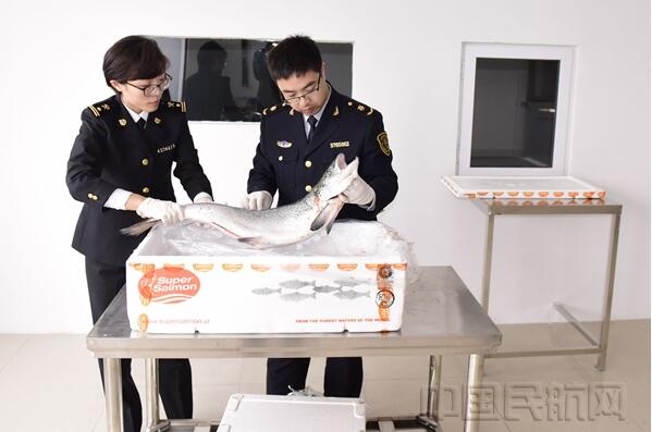 青岛机场开通绿色通道,保障鲜活易腐货通关,鲜活货空运 青岛机场开通绿色通道,保障鲜活易腐货通关,鲜活货空运