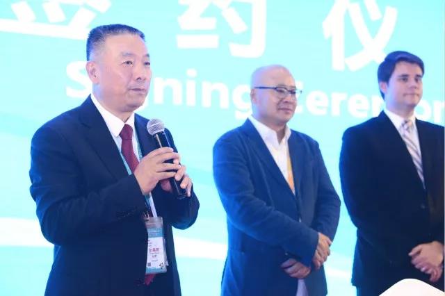 欣海进博会清关 欣海进博会清关