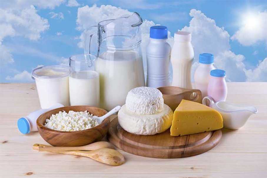 乳制品进口报关 乳制品进口报关