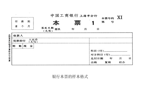 海运进口报关 海运进口报关