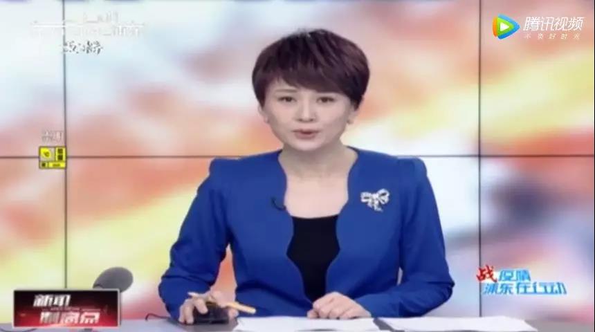欣海报关 欣海报关