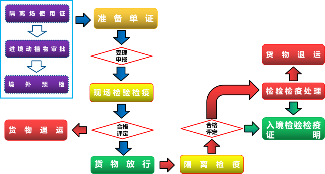 进口报关代理 进口报关代理
